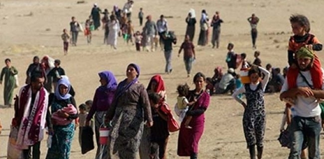 ڤیان دەخیل: زیاتر لە چوار هەزار و 200 ئافرەت و منداڵی ئێزدی لەدەستی داعش دان 