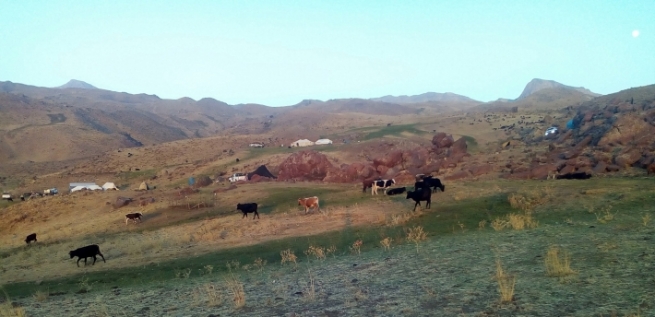 هێزێكی ئێرانی ٢٦ سەر ئاژەڵی خەڵكی سیدەكان دەبەن و دەیفرۆشن