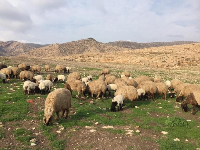 مه‌ردارێن ده‌ڤه‌را ئاكرێ هوریا په‌زێ خوه‌ دهاڤێژن، كه‌س ناكریت