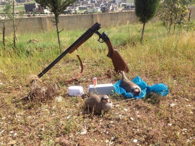 پۆلیسی دارستان پێنج کەس لە سنووری پارێزگای سلێمانی دەستگیر دەکات