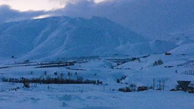 كاره‌بای حاجی ئۆمه‌ران پچڕا