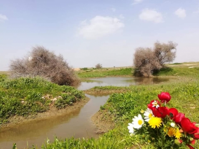 بەهاری سنووری مەندەلی