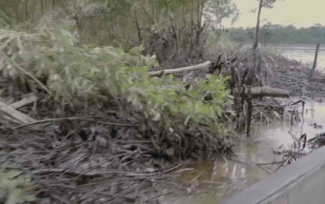 پیسبوونی رووبارەکان بە نەوت مەترسیی لەسەر خەڵکی رەسەنی دارستانەکانی ئەمازۆن دروستکردووە