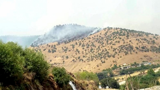 شەڕی سوپای توركیا و پەكەكە ژینگەی دەڤەری برادۆستی وێران کردووە