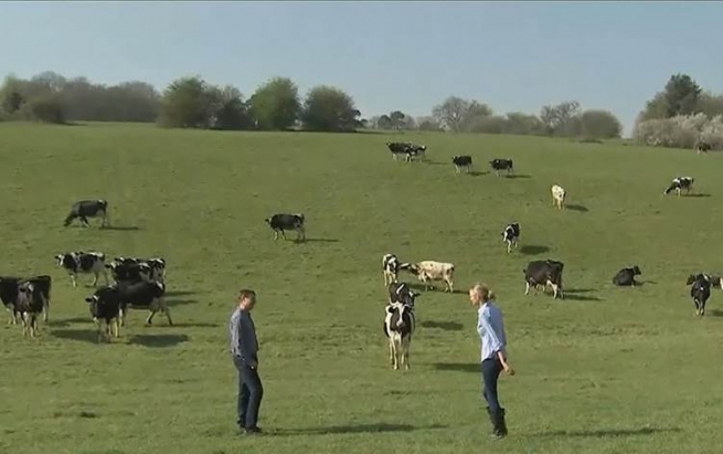 کۆرۆنا زیانی زۆر لە ئاژەڵدارانی بەریتانیا دەدات