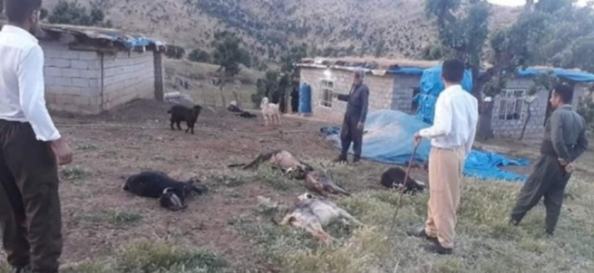 فڕۆکەخانەیەکی نیوزیلەندا بەهۆی مەترسییەکەوە داخرا