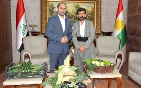 جووتیارێكی كورد دەرمانی لەناوبردنی گیاکەڵە دەدۆزێتەوە