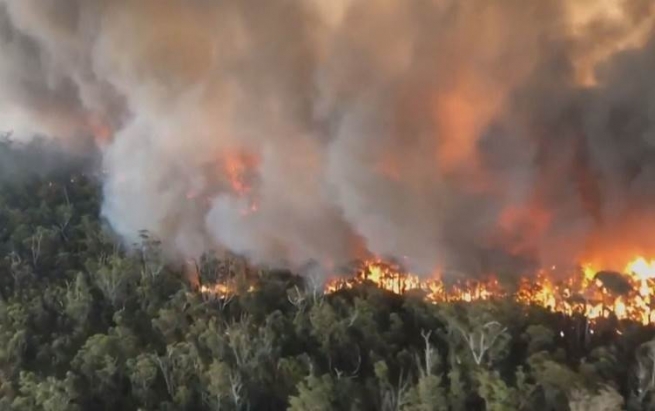 ئاگرەکەی ئوسترالیا ژمارەیەکی خەیاڵی لە گیانداران دەکوژێت