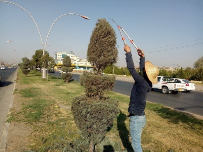 له‌ هه‌ولێر هەڵمەتێک بۆ ڕێککاری بۆ دار و درەختی شەقامەکان و چاندنی گوڵ و گوڵزار به‌ڕێوه‌ چوو