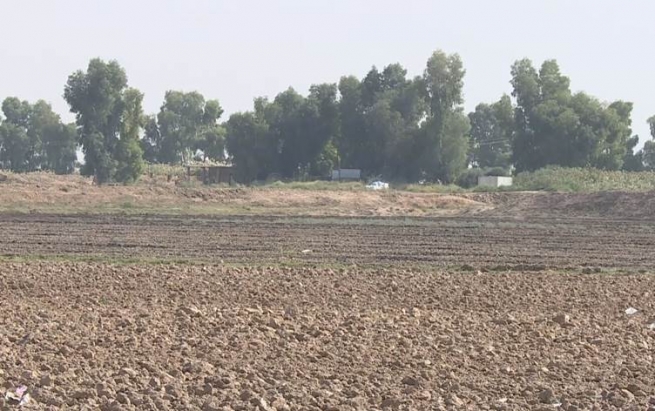 هێزە ئەمنییەکانی حەفتەغار واز لە عەرەبی هاوردە دەهێنن و جووتیاری کورد دەستگیر دەکەن