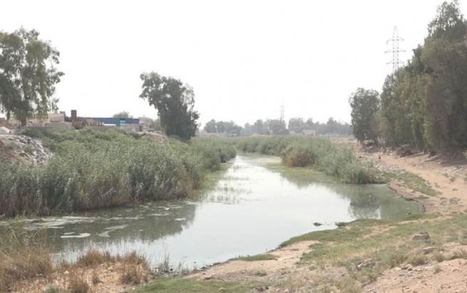 بەهۆی پیسبوونی ئاوی حەسەکە، زیاتر لە هەزار منداڵ براونەتە نەخۆشخانە