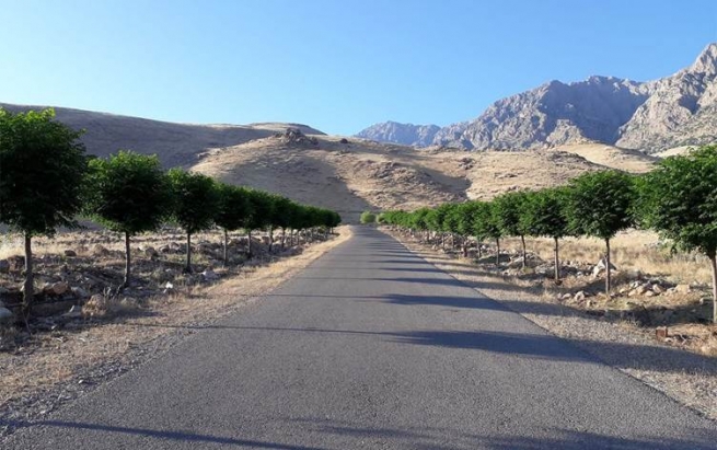 گەنجێکی خورماڵ دەیەوێت شارۆچکەکەی بکاتە دارستان