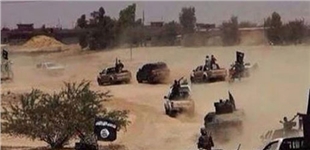داعش دەستی بە تاڵانکردنی سایلۆکانی شنگال و دام و دەزگا حکومییەکان کرد 