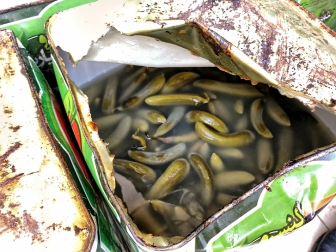 له‌ سلێمانى بڕێك خه‌یارشۆر له‌ناو ده‌برێت