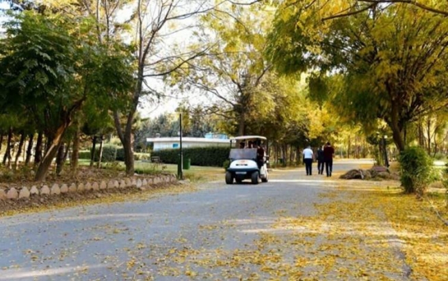 لە پارکی سامی عەبدولڕەحمان ئۆتۆمبێلێکی کارەبایی لە ژنێک دەدات و دەیکوژێت