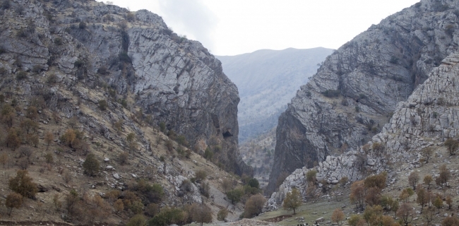 پەكەكە 4 گەریلای خۆی دەكوژێت 