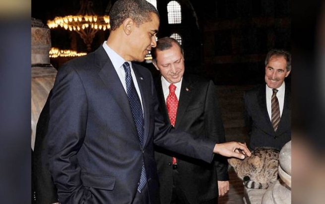 ئەو پشیلەیەی ئەردۆغان و ئۆباما وێنەیان لەگەڵدا گرت گیانی لەدەستدا