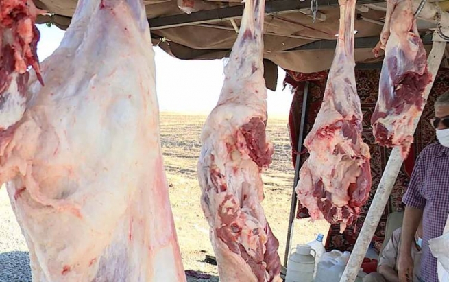 دیاردەی سەربڕینی ئاژەڵ لەسەر شەقامەکان بنبڕ نەکراوە