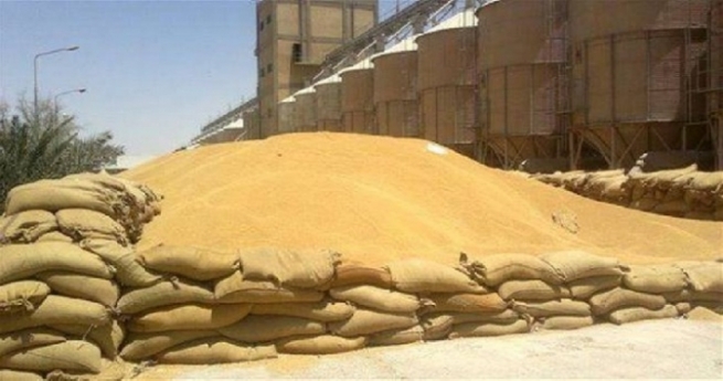 سایلۆی سلێمانی: کێشەی وەرگرتن و ھەڵگرتنی گەنمی جووتیاران چارەسەر دەکرێت