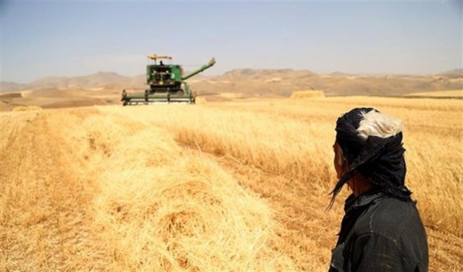 حكوومەتی عێراق فێڵ لە جوتیارانی كوردستان دەكات