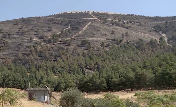 زیاتر لە 200 دۆنم زەوی و داری بەتەمەن لە شاخی گۆیژە سووتاون