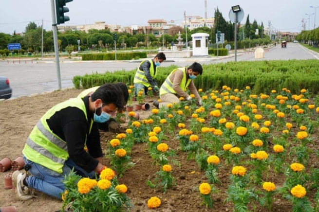 هەولێر.. لە کاتی قەدەغەی هاتوچۆدا 100 هەزار دار و گوڵ چێندراوە