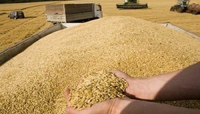  	 پارەی جوتیارانی دهۆک گەیشت 