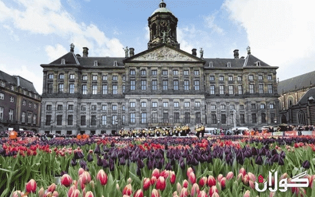  حکوومەتى هۆڵەندا 139 کۆرسى ئەکادیمى ڕادەگەینێت 