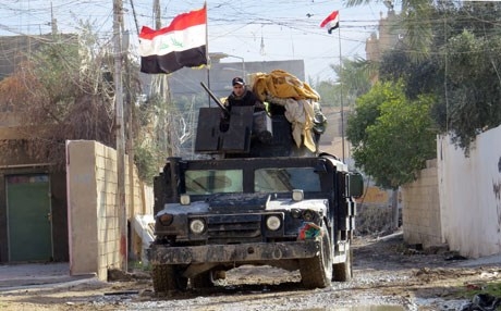  شارەدێی پەروانە كۆنترۆڵكرایەوە 