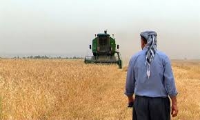  حكوومەتی عێراق 620 ملیار دینار قەرزداری جووتیارانە