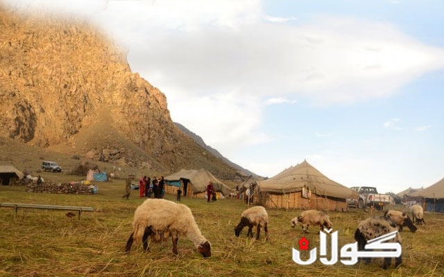  له حاجی ئۆمەران.. سوپای پاسداران دەست بەسەر مێگەلە مەڕێكدا دەگرێت