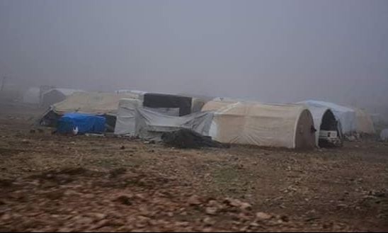 	 نایف سەیدۆ: ئاوارەكان لە دۆخێكی سەختدان.. حكوومەتی عێراق ئاگای لە بارودۆخیان نییە