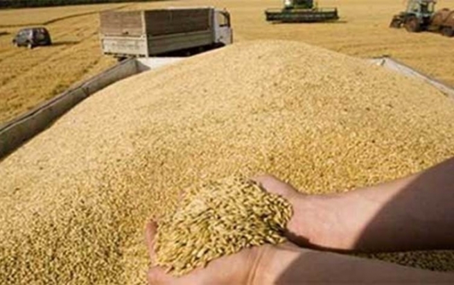 كشتوكاڵی دەربەندیخان داوایەک ئاراستەی جووتیارانی سنوورەکە دەکات