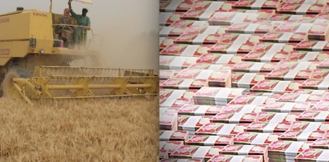  وەزارەتی کشتوکاڵ 900 ملیار دینار بۆ گەنمی جووتیاران دابین دەکات 