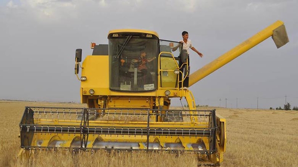  وەرگرتنی گەنمی جووتیاران، سەركەوتووانە بەڕێوە دەچێت