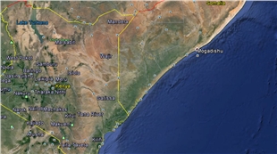 چەکدارانی گروپی ئەلشەباب لە کینیا ٥٠کەسیان کوشت