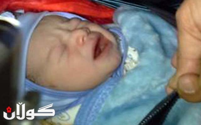 كوڕه‌كه‌ی كاوه‌ گه‌رمیانی له‌دایك بوو