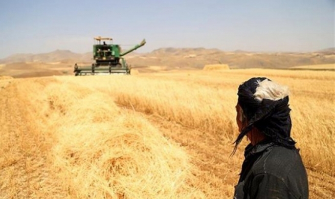  پەرلەمانی کوردستان: ئەگەر پارەی گەنمی جووتیاران نادەن گەنمەکان بنێرنەوە