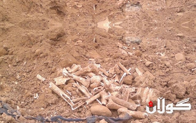 وەزارەتی شەهیدان: لە حەردان نزیکەی دە گۆڕی بەکۆمەڵ دۆزراونەتەوە 