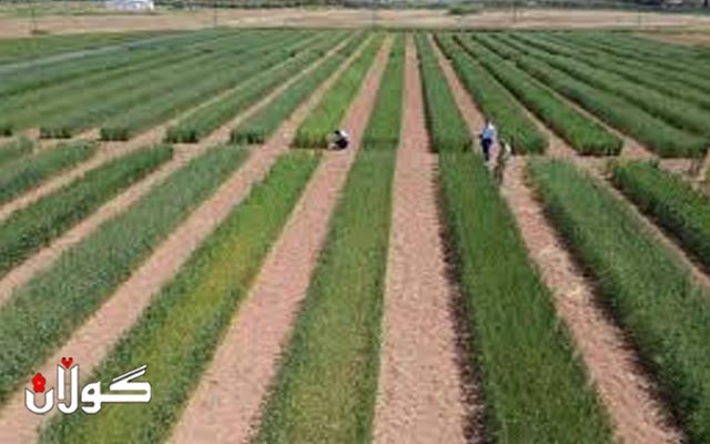 بۆ پاڵپشتی جوتیاران، وەزارەتی كشتوكاڵی هەرێمی كوردستان،  لەوەرزی پێگەیشتنی هەر بەروبوومێک بێت ئەوە باج دەخەنە سەر بەروبوومە هاوردەکراوەكە