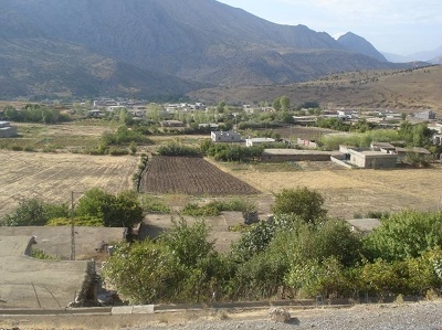 كێلگە كشتوكاڵیەكانی باڵەكایەتی بەهۆی نەخۆشیەوە زۆربەیان لەناو دەچن