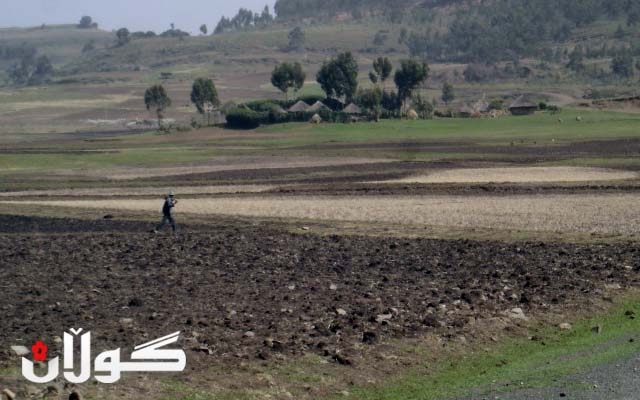 باڵەکایەتى.. بەهۆى کەمى بەرهەمەکانیانەوە جوتیاران توشى زیان بوونەتەوە 