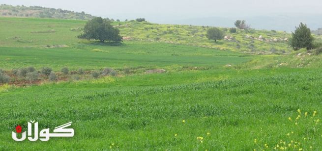 به‌هۆى هێنانی هه‌نار له‌سووریاو ئێران جووتیارانی خۆماڵی زیانیان پێگه‌یشتووه‌