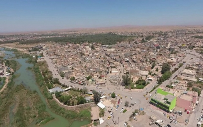 بەڕێوەبەری کشتوکاڵی خانەقین: لە سنوورەکە 440 هەزار دۆنم دەغڵودان لەناو چوون