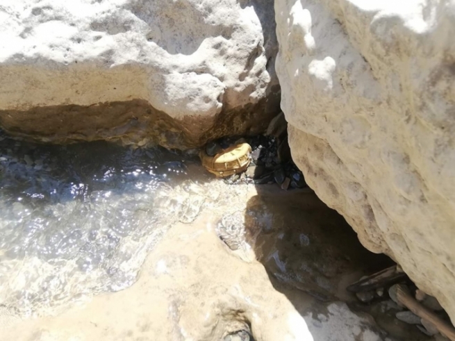 لەناو رووباری گەلی عەلی بەگ مینێكی مەترسیدار دۆزرایەوە