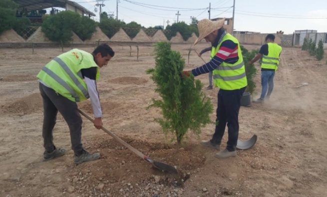سبەی لە هەولێر بە هەزاران دار و نەمام دەچێندرێ