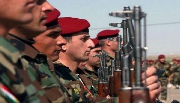 لیوا سالار: سەرۆك بارزانی لەسەر یەكخستنی هێزی پێشمەرگە مكوڕە