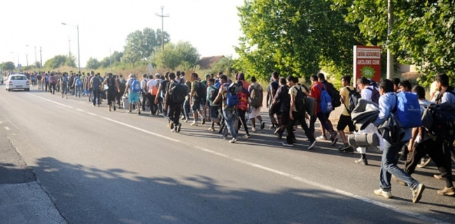  سڕبیا.. کۆچبەران ڕێپێوانێکیان بۆ سەر سنوورەکانی هەنگاریا ئەنجام دا 