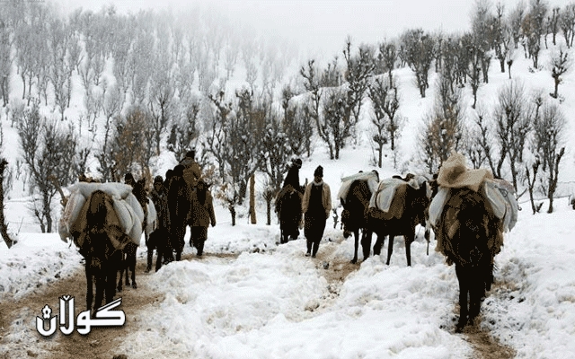  مانگی نۆڤەمبەر 27 کۆڵبەر بە تەقەی هێزە ئەمنییەکانی ئێران بوونەتە قوربانی 