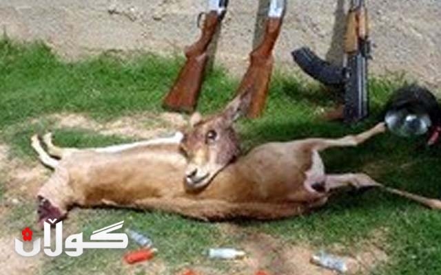 بەهۆی كوشتنی ئاژەڵ و باڵندەی كێوی 15 هاوڵاتی لە باڵەكایەتی درانە دادگا 